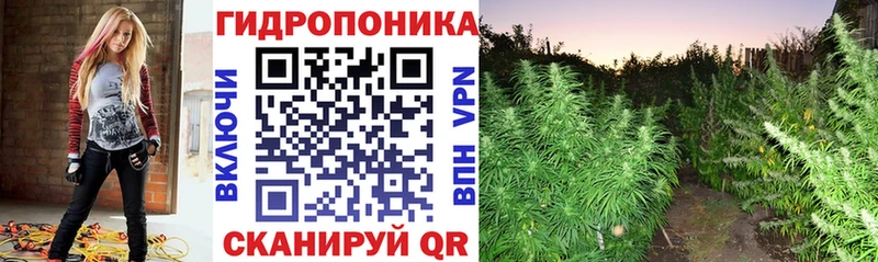 Купить закладку АМФЕТАМИН  Каннабис  Мефедрон  Гашиш  Тайшет