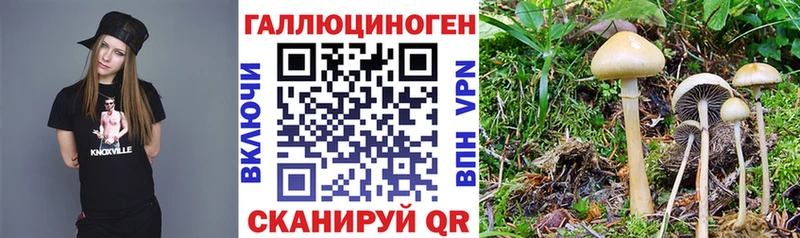 Купить где  Тайшет  Псилоцибиновые грибы ЛСД 